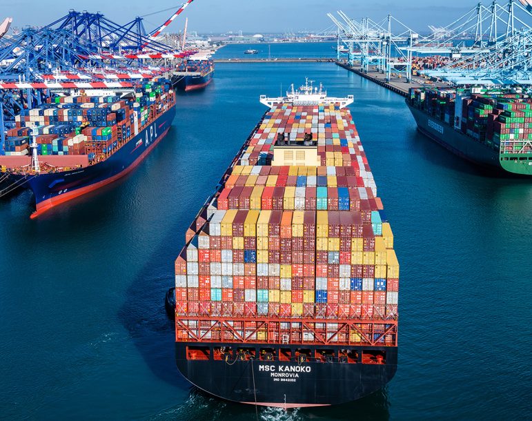 Mikro Foreign Trade Import Export Mikro Ithalat Ve Ihracat Yonetimi